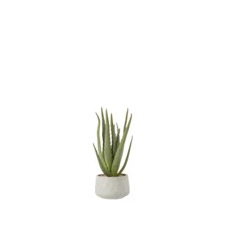 4109 Jolipa J-Line Kunstplant Aloe Vera in grijze pot S