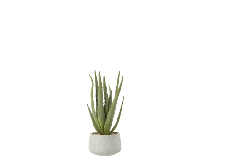 4109 Jolipa J-Line Kunstplant Aloe Vera in grijze pot S