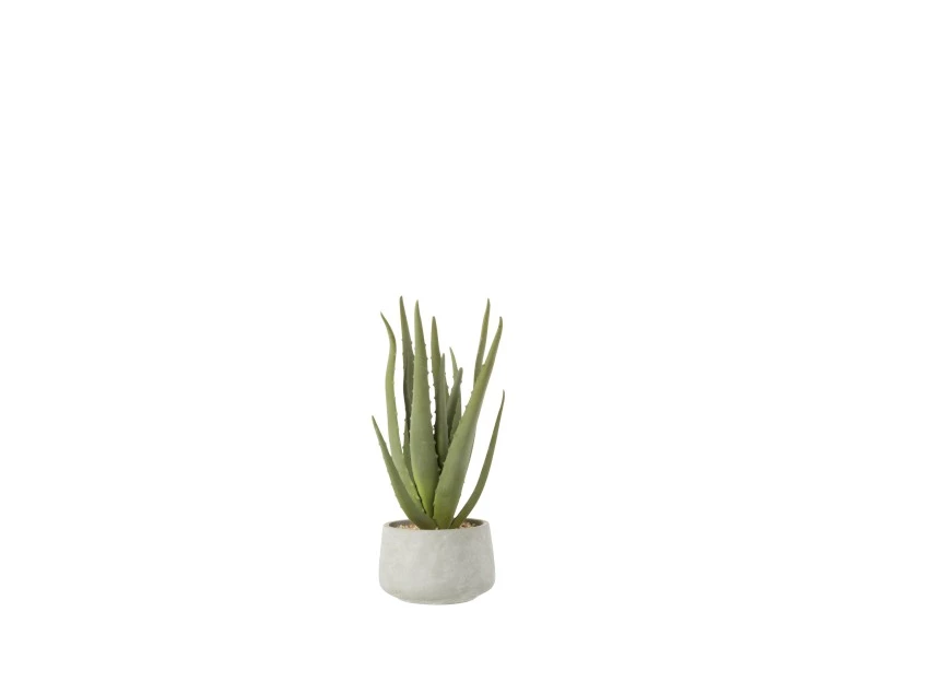 4109 Jolipa J-Line Kunstplant Aloe Vera in grijze pot S