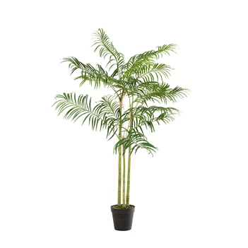 bamboepalm pot plastiek groen zwart smal 12524 .jpg