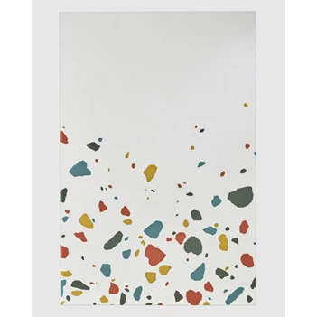 Spiegel Terrazzo Rect 2925.481 rechthoekig kleur Deknudt Mirrors