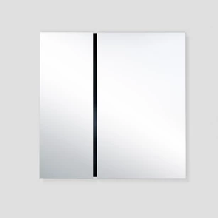 Spiegel Luna Black Rect M 2869.250 vierkant Deknudt Mirrors