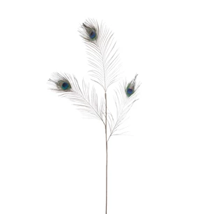 77656 Jolipa J-Line Tak Pauwenveren Groen/Blauw