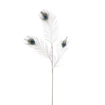 77656 Jolipa J-Line Tak Pauwenveren Groen/Blauw