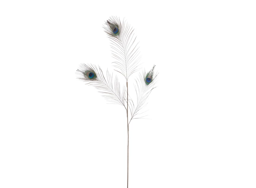 77656 Jolipa J-Line Tak Pauwenveren Groen/Blauw