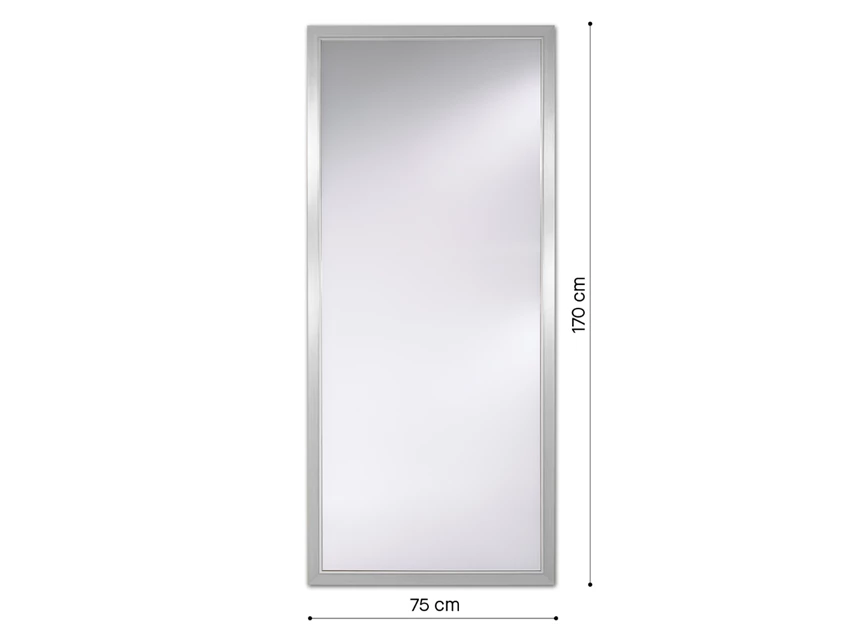 Afmetingen Spiegel Bremen Silver XL 9088.FHN rechthoekig Deknudt Mirrors