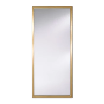 Spiegel Bremen Gold XL 9088.FGN rechthoekig Deknudt Mirrors