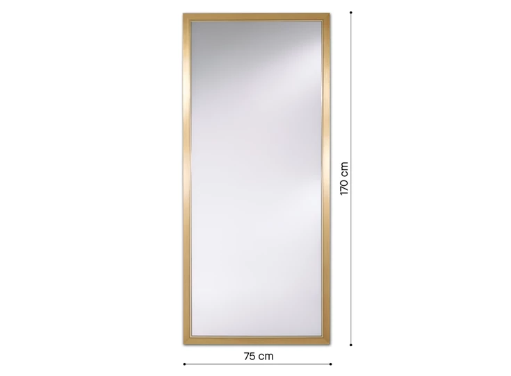 Afmetingen Spiegel Bremen Gold XL 9088.FGN rechthoekig Deknudt Mirrors