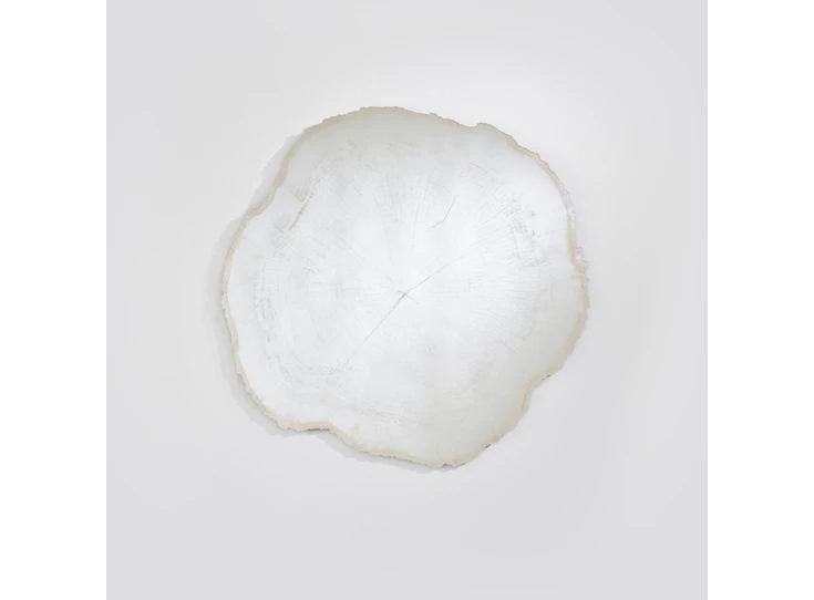 Spiegel Arbo Ice M 2839.101 natuurlijk Deknudt Mirrors