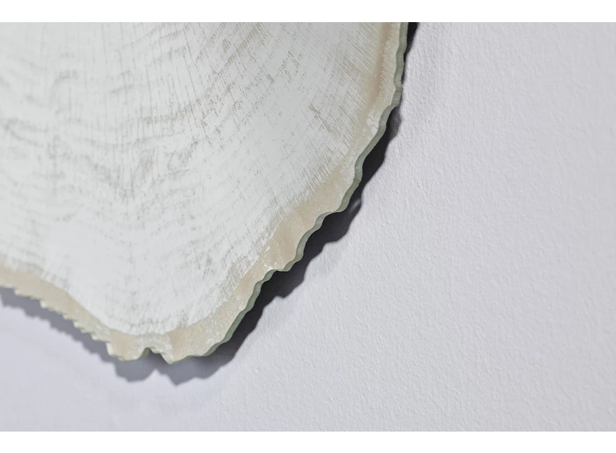 Detail Spiegel Arbo Ice M 2839.101 natuurlijk Deknudt Mirrors