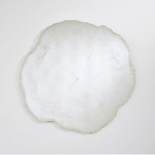 Spiegel Arbo Ice L 2839.201 natuurlijk Deknudt Mirrors