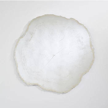 Spiegel Arbo Ice L 2839.201 natuurlijk Deknudt Mirrors