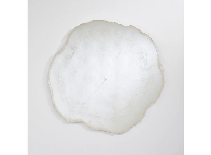 Spiegel Arbo Ice L 2839.201 natuurlijk Deknudt Mirrors