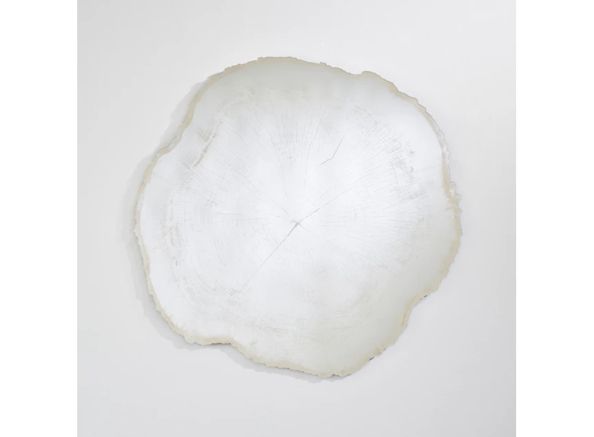 Spiegel Arbo Ice L 2839.201 natuurlijk Deknudt Mirrors