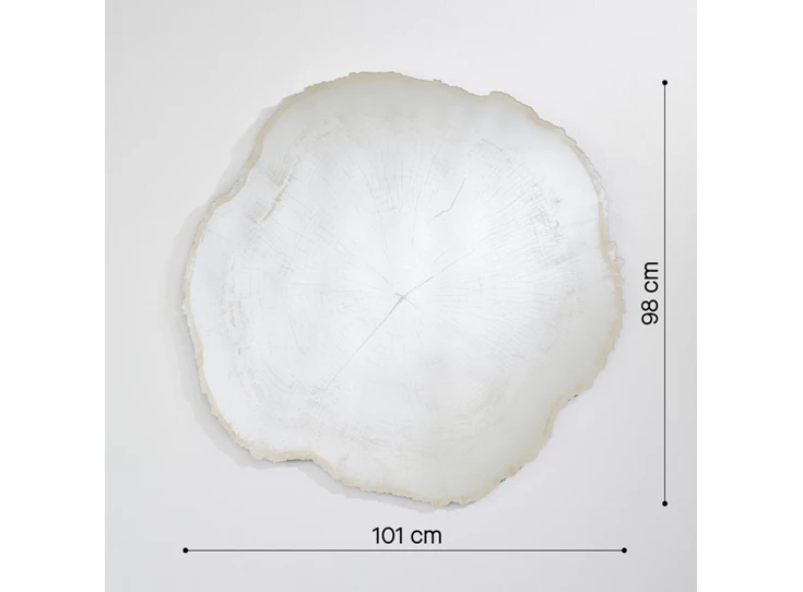 Afmetingen Spiegel Arbo Ice L 2839.201 natuurlijk Deknudt Mirrors