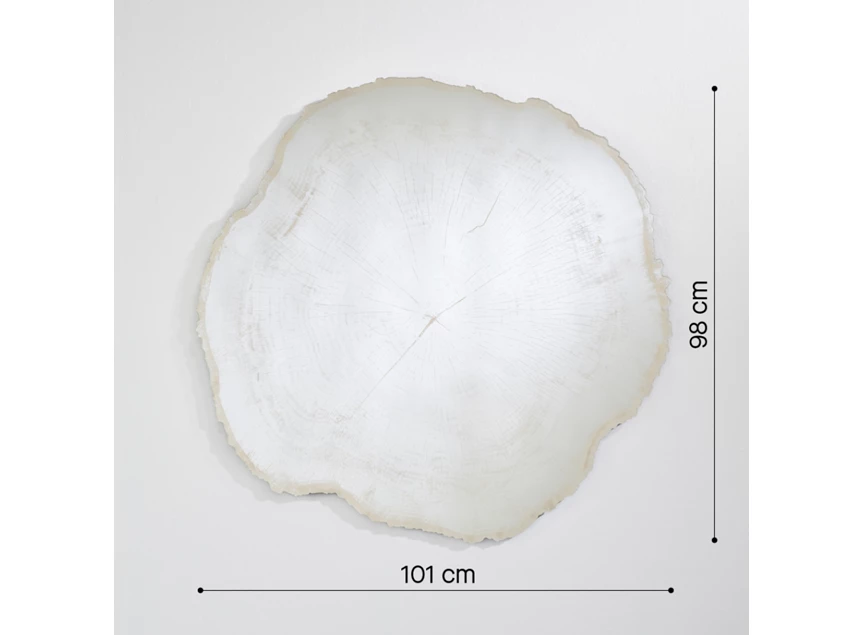 Afmetingen Spiegel Arbo Ice L 2839.201 natuurlijk Deknudt Mirrors