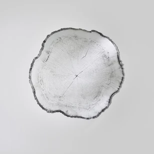 Spiegel Arbo Dark M 2839.191 natuurlijk Deknudt Mirrors