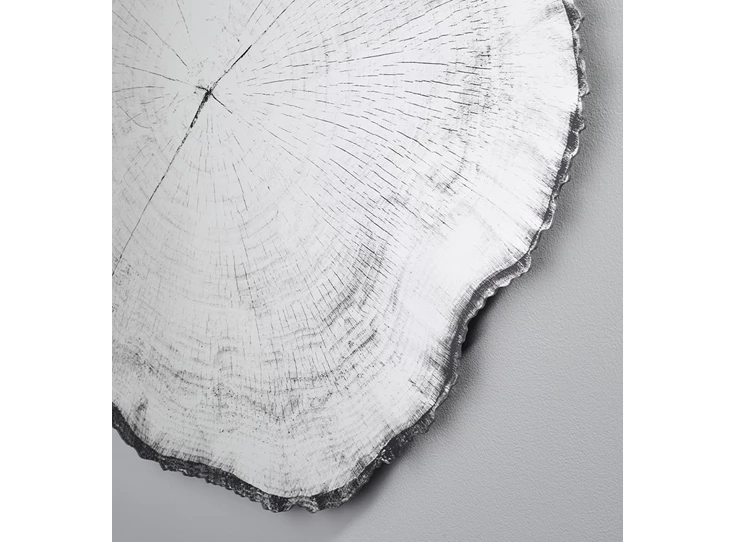 Zijde Spiegel Arbo Dark M 2839.191 natuurlijk Deknudt Mirrors