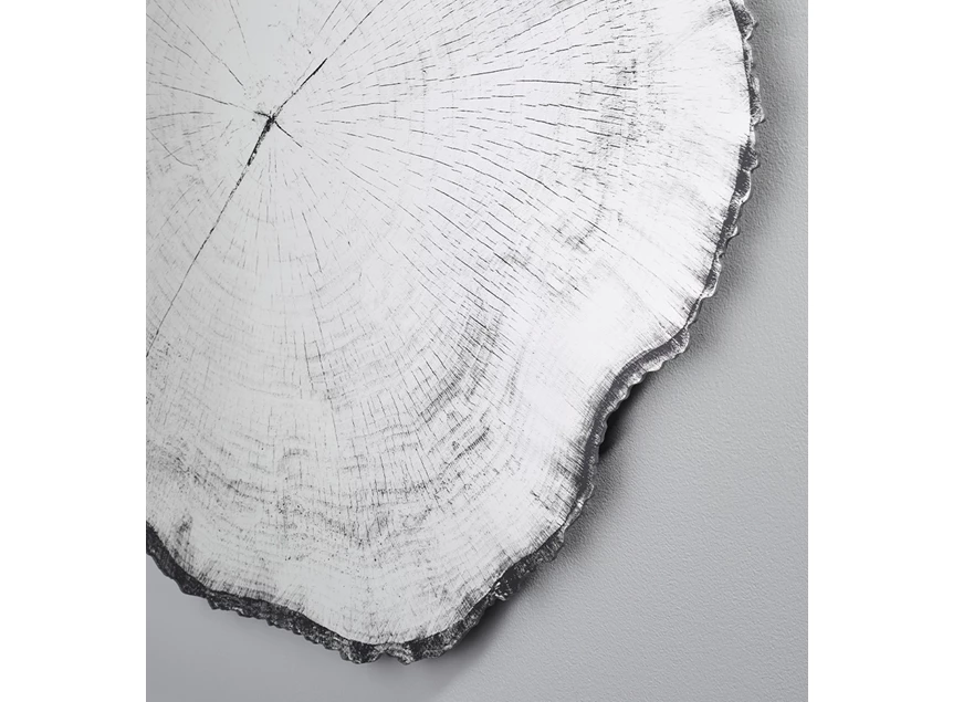 Zijde Spiegel Arbo Dark M 2839.191 natuurlijk Deknudt Mirrors