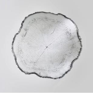 Spiegel Arbo Dark L 2839.291 natuurlijk Deknudt Mirrors