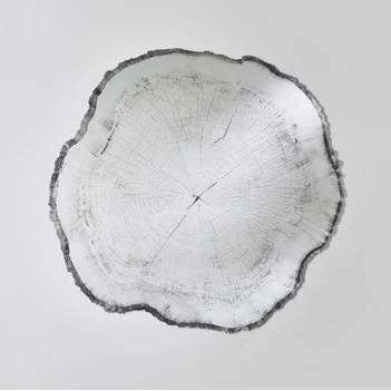 Spiegel Arbo Dark L 2839.291 natuurlijk Deknudt Mirrors