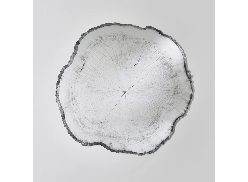 Spiegel Arbo Dark L 2839.291 natuurlijk Deknudt Mirrors