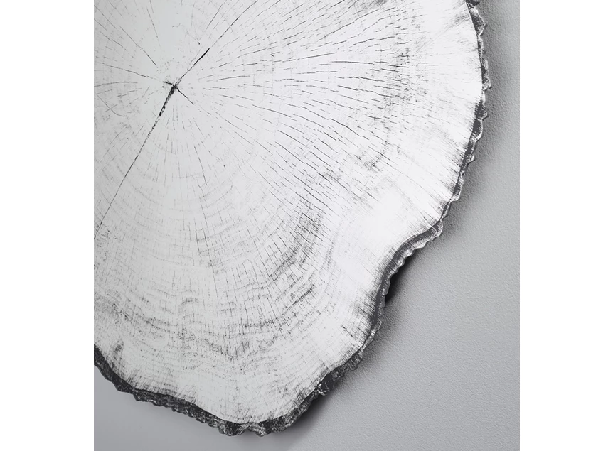 Zijde Spiegel Arbo Dark L 2839.291 natuurlijk Deknudt Mirrors