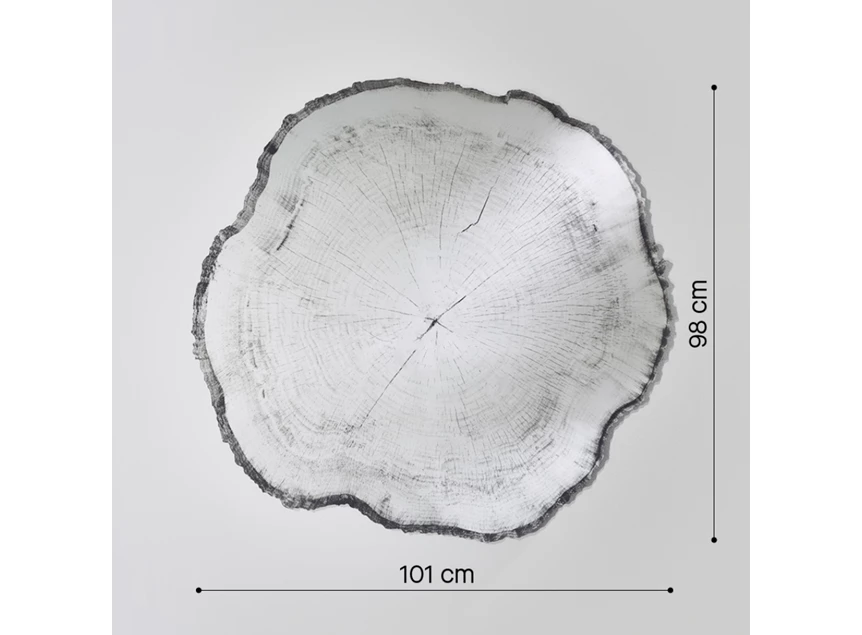 Afmetingen Spiegel Arbo Dark L 2839.291 natuurlijk Deknudt Mirrors