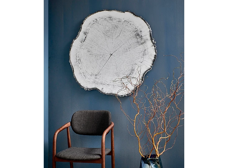 Hal Spiegel Arbo Dark L 2839.291 natuurlijk Deknudt Mirrors