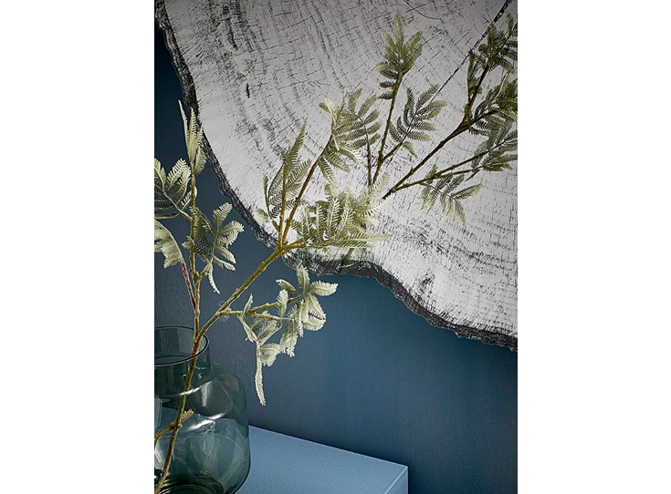 Inzoom Spiegel Arbo Dark L 2839.291 natuurlijk Deknudt Mirrors