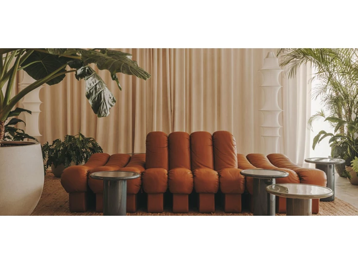 Front Sfeerfoto Salon DS-602 Snake modulair leder cognac De Sede