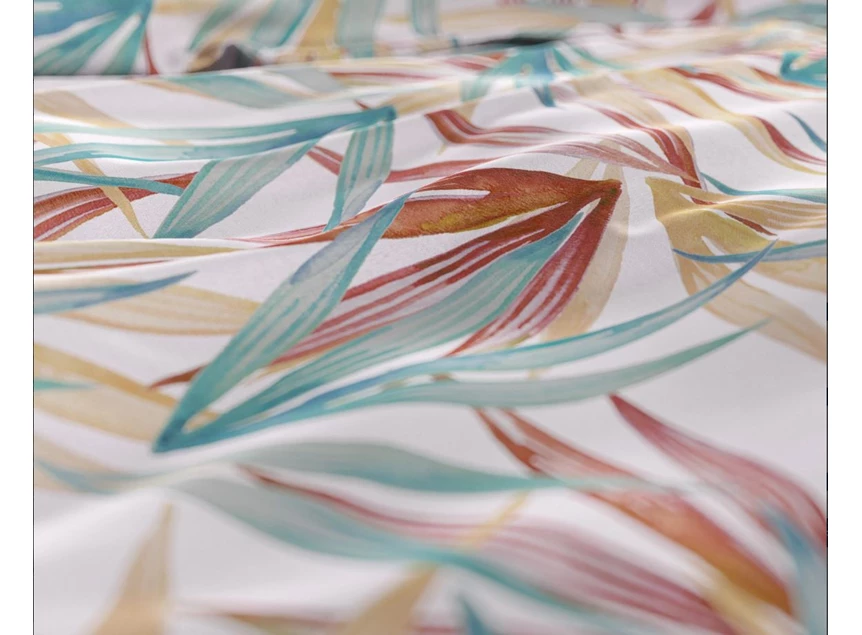 Aster multi- 240*220- detail