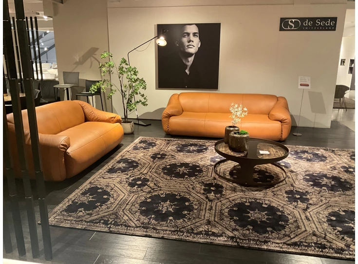 Front Salon London DS-705 leder Touch cognac De Sede