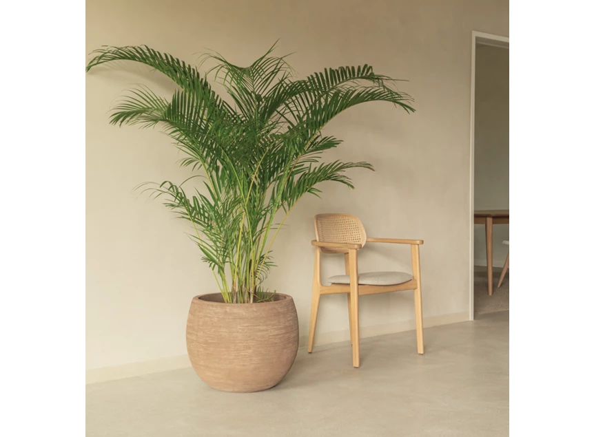 Sfeerfoto Armstoel Dining Armchair Titus Natural Stained Oak Vincent Sheppard