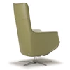 Achterkant Elektrische Relax Twice Pro TW082N combi leder groen stof beige De Toekomst