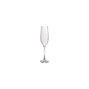 Saga champagneglas- 29cl- set4