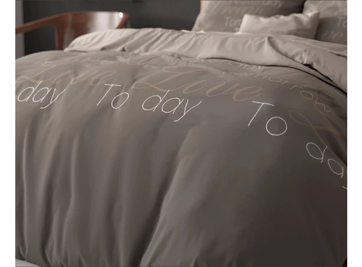 Live Today- taupe- 240*220- detail