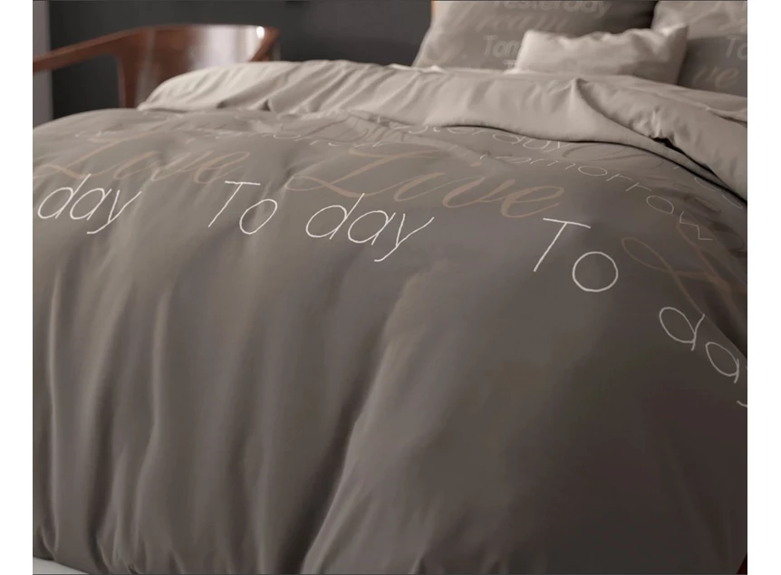 Live Today- taupe- 140*220- detail