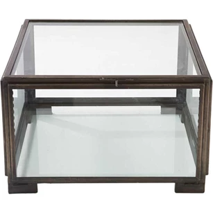 Les Puces Showcase Coffee Table- Salontafel- Staal/Glas