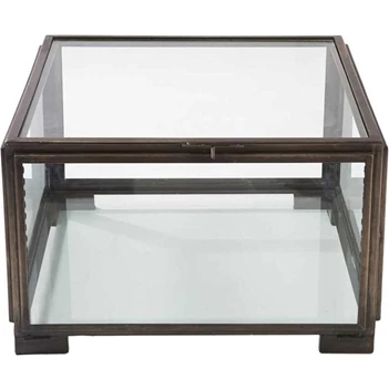 Les Puces Showcase Coffee Table- Salontafel- Staal/Glas