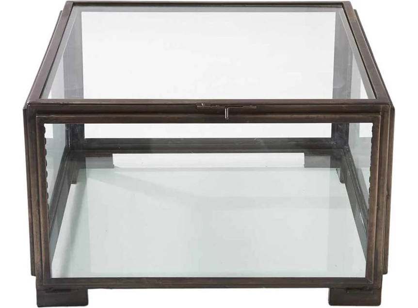 Les Puces Showcase Coffee Table- Salontafel- Staal/Glas