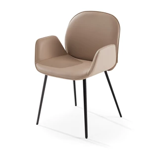 Eetkamerstoel Cobe met armleuningen 2065-I leder taupe Draenert