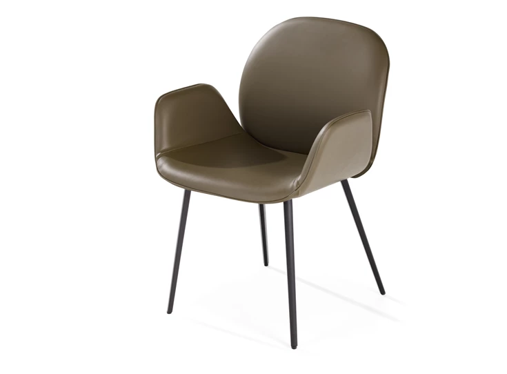 Eetkamerstoel Cobe met armleuningen 2065-I leder khaki groen Draenert