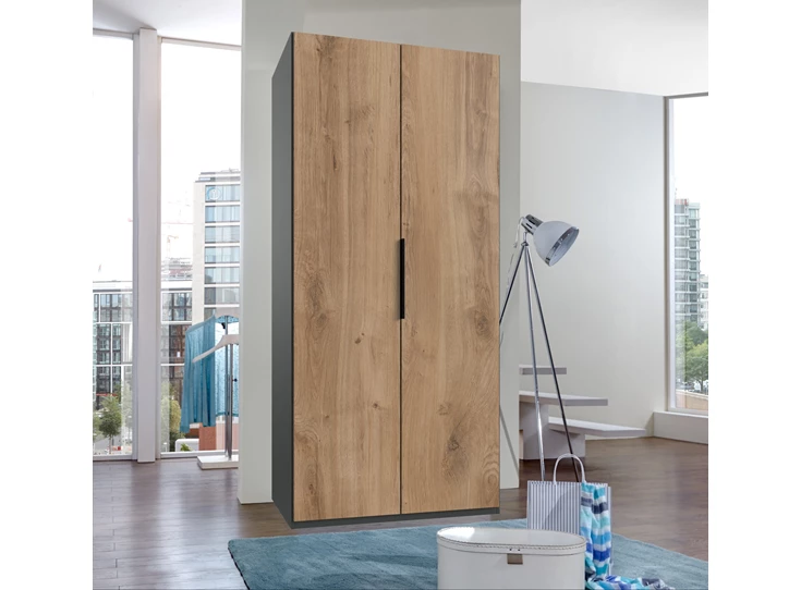 Draaideurkast Level 100x216 decor