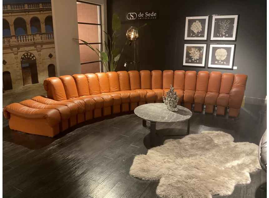 Salon DS-600 Snake leder Select Teak cognac deSede