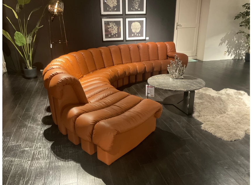Zijkant Salon DS-600 Snake leder Select Teak cognac deSede