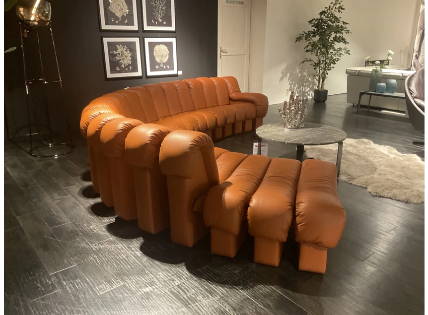 Achterkant Salon DS-600 Snake leder Select Teak cognac deSede