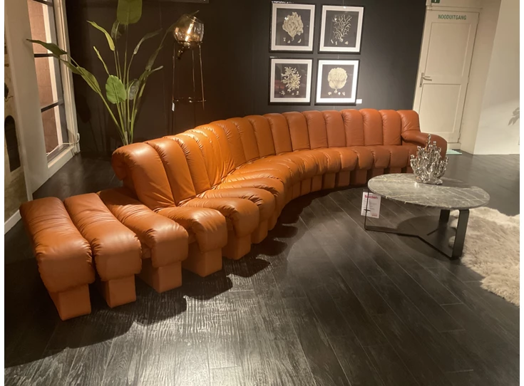 Verstelbaar Salon DS-600 Snake leder Select Teak cognac deSede