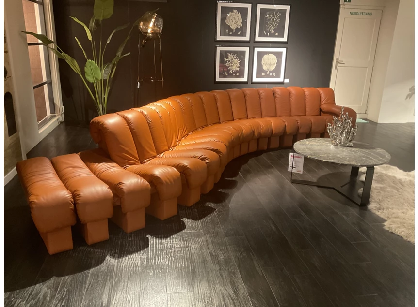 Verstelbaar Salon DS-600 Snake leder Select Teak cognac deSede