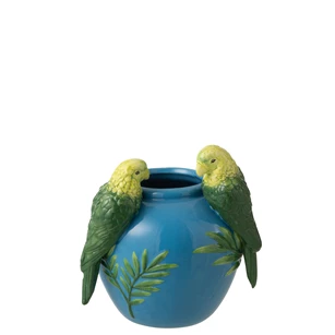 Vaas papegaaien S